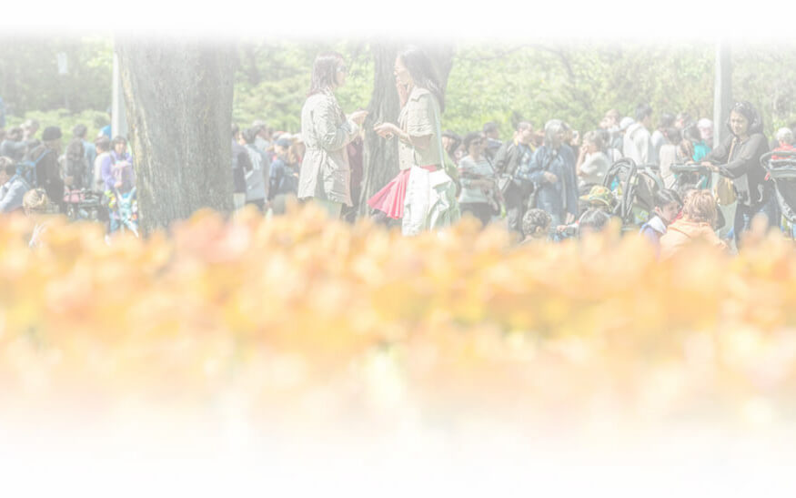 Canada Tulip Festival - WinfiY crunch