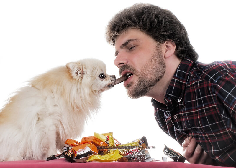 Is Chocolate Good For Your Health heart & Life - WinfiY crunch