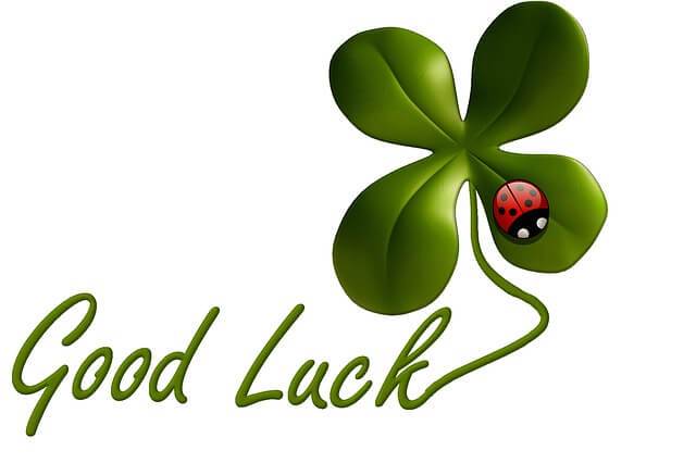 Rich People - Hard Work or Good Luck - WinfiY crunch